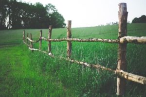 neighbours fence on my land